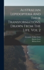 Image for Australian Lepidoptera And Their Transformations, Drawn From The Life. Vol 2