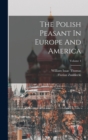 Image for The Polish Peasant In Europe And America; Volume 4