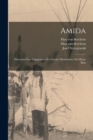 Image for Amida : Materiaux pour lepigraphie et lhistoire Musulmanes du Diyar-Bekr