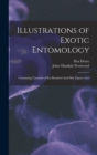 Image for Illustrations of Exotic Entomology; Containing Upwards of six Hundred And Fifty Figures And