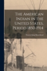 Image for The American Indian in the United States, Period 1850-1914