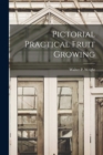 Image for Pictorial Practical Fruit Growing