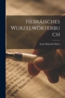 Image for Hebraisches Wurzelworterbuch