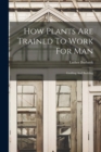 Image for How Plants Are Trained To Work For Man : Grafting And Budding