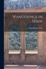 Image for Wanderings in Spain