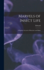 Image for Marvels of Insect Life; a Popular Account of Structure and Habit