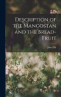Image for Description of the Mangostan and the Bread-Fruit