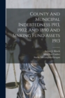 Image for County And Municipal Indebtedness 1913, 1902, And 1890 And Sinking Fund Assets 1913