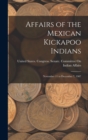 Image for Affairs of the Mexican Kickapoo Indians