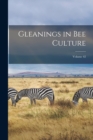 Image for Gleanings in Bee Culture; Volume 42