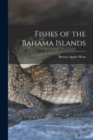 Image for Fishes of the Bahama Islands