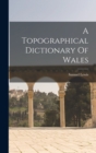 Image for A Topographical Dictionary Of Wales
