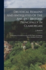 Image for Druidical Remains And Antiquities Of The Ancient Britons, Principally In Glamorgan