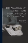 Image for The Anatomy Of The Northern Beluga (beluga Catodon, Gray