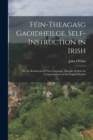 Image for Fein-Theagasg Gaoidheilge. Self-Instruction in Irish : Or, the Rudiments of That Language, Brought Within the Comprehension of the English Reader