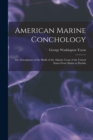 Image for American Marine Conchology