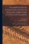 Image for Enumeration of Fossils Collected in Niagara Limestone at Chicago, Illinois; With Descriptions of Several new Species