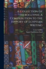 Image for A Collection of Hieroglyphs : A Contribution to the History of Egyptian Writing: 6