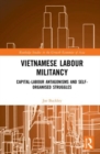 Image for Vietnamese labour militancy  : capital-labour antagonisms and self-organised struggles