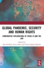 Image for Global Pandemic, Security and Human Rights