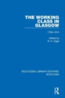 Image for The Working Class in Glasgow