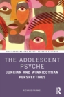 Image for The Adolescent Psyche
