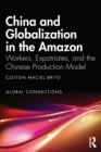 Image for China and globalization in the Amazon  : workers, expatriates and the Chinese production model