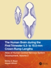 Image for The Human Brain during the First Trimester 6.3- to 10.5-mm Crown-Rump Lengths