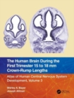 Image for The Human Brain during the First Trimester 15- to 18-mm Crown-Rump Lengths