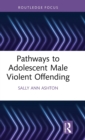 Image for Pathways to Adolescent Male Violent Offending