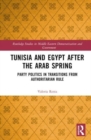 Image for Tunisia and Egypt after the Arab Spring
