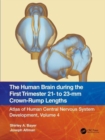 Image for The human brain during the first trimester 21- to 23-mm crown-rump lengths  : atlas of human central nervous system developmentVolume 4