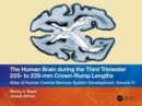 Image for The Human Brain during the Third Trimester 225– to 235–mm Crown-Rump Lengths