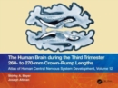 Image for The Human Brain during the Third Trimester 260– to 270–mm Crown-Rump Lengths