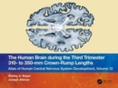 Image for The Human Brain during the Third Trimester 310– to 350–mm Crown-Rump Lengths