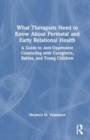 Image for What Therapists Need to Know About Perinatal and Early Relational Health : A Guide to Anti-Oppressive Counseling with Caregivers, Babies, and Young Children