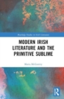 Image for Modern Irish Literature and the Primitive Sublime
