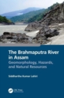 Image for The Brahmaputra River in Assam