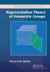 Image for Representation Theory of Symmetric Groups