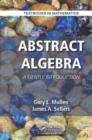 Image for Abstract algebra  : a gentle introduction