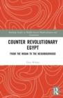Image for Counter Revolutionary Egypt