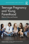 Image for Teenage Pregnancy and Young Parenthood