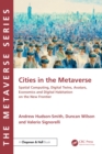 Image for Cities in the Metaverse