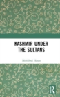 Image for Kashmir under the sultans