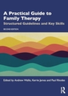Image for A practical guide to family therapy  : structured guidelines and key skills