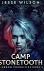 Image for Camp Stonetooth (Kingdom Chronicles Book 3)