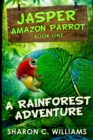 Image for A Rainforest Adventure : Large Print Edition