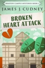 Image for Broken Heart Attack