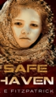 Image for Safe Haven (Reacher Short Stories Book 2)