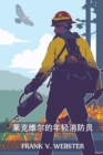 Image for ?????????? : The Young Firemen of Lakeville, Chinese edition